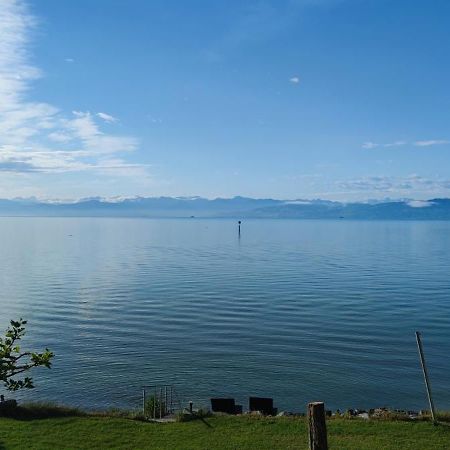 Birkhofer See Geniessen - Haus Seehang Immenstaad am Bodensee Εξωτερικό φωτογραφία